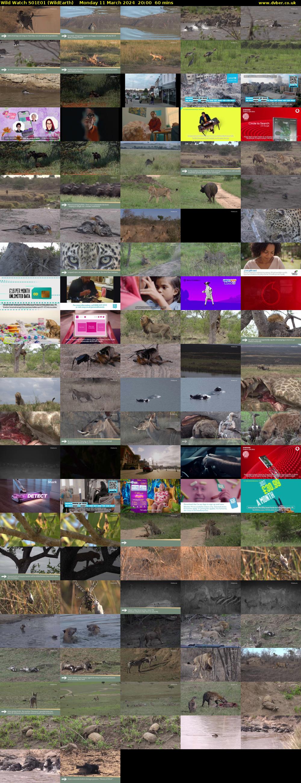 Wild Watch S01E01 (WildEarth) Monday 11 March 2024 20:00 - 21:00