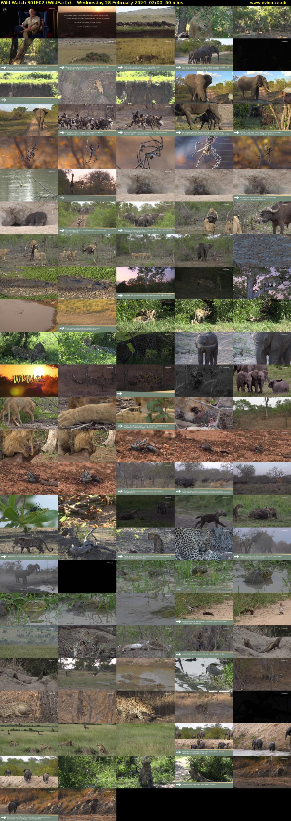 Wild Watch S01E02 (WildEarth) Wednesday 28 February 2024 02:00 - 03:00
