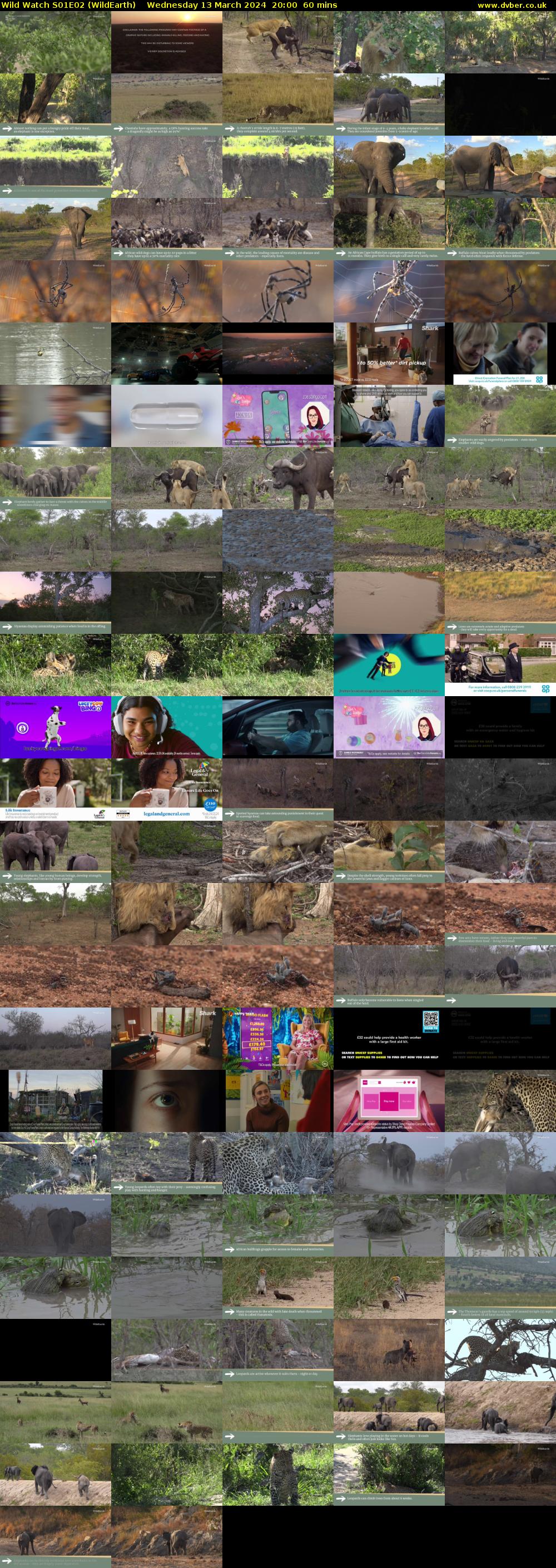 Wild Watch S01E02 (WildEarth) Wednesday 13 March 2024 20:00 - 21:00