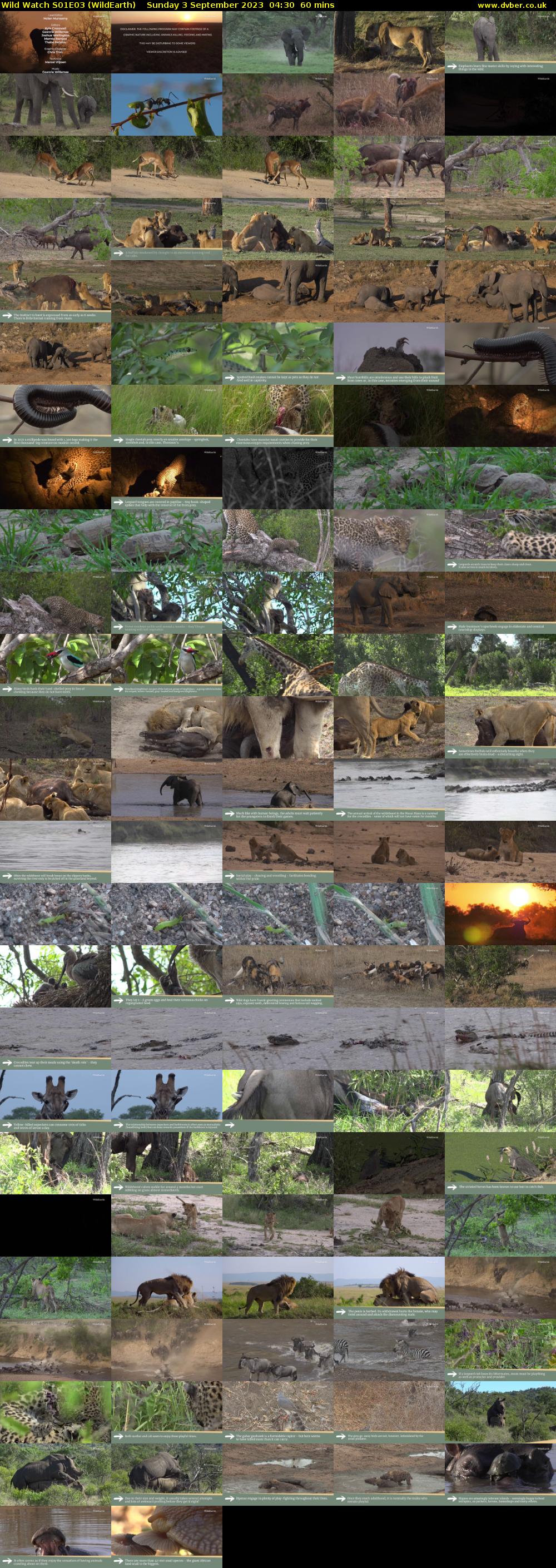 Wild Watch S01E03 (WildEarth) Sunday 3 September 2023 04:30 - 05:30