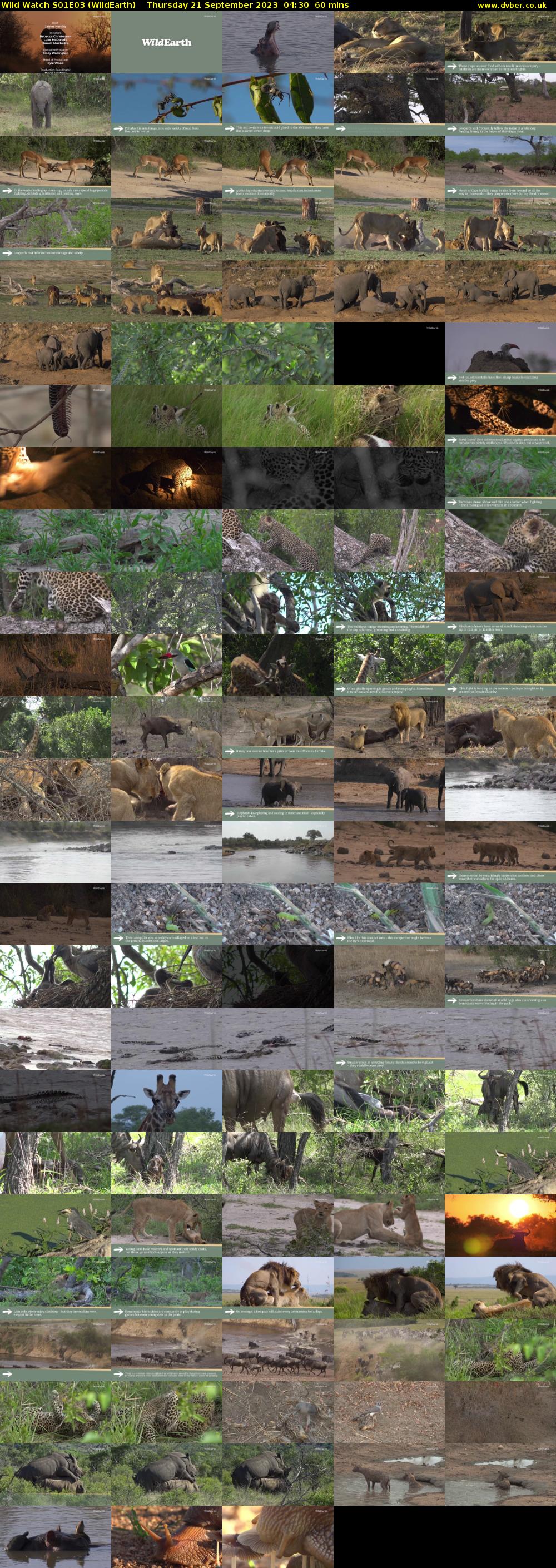 Wild Watch S01E03 (WildEarth) Thursday 21 September 2023 04:30 - 05:30