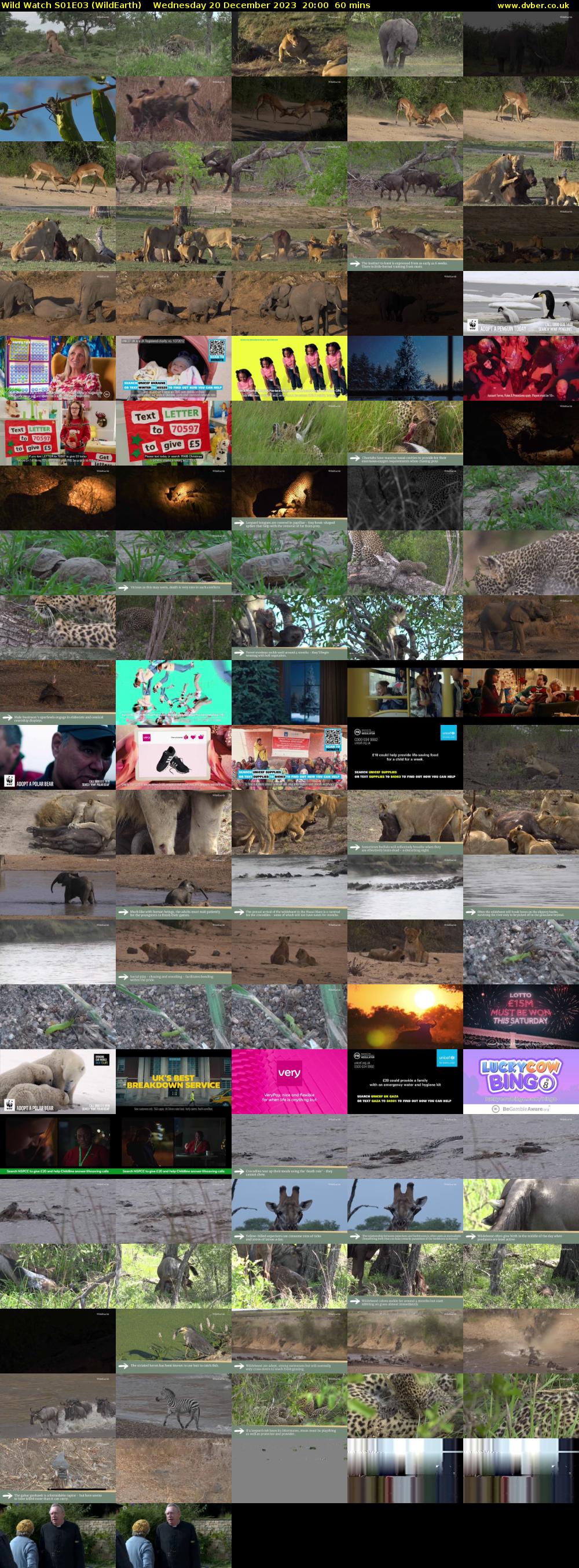 Wild Watch S01E03 (WildEarth) Wednesday 20 December 2023 20:00 - 21:00