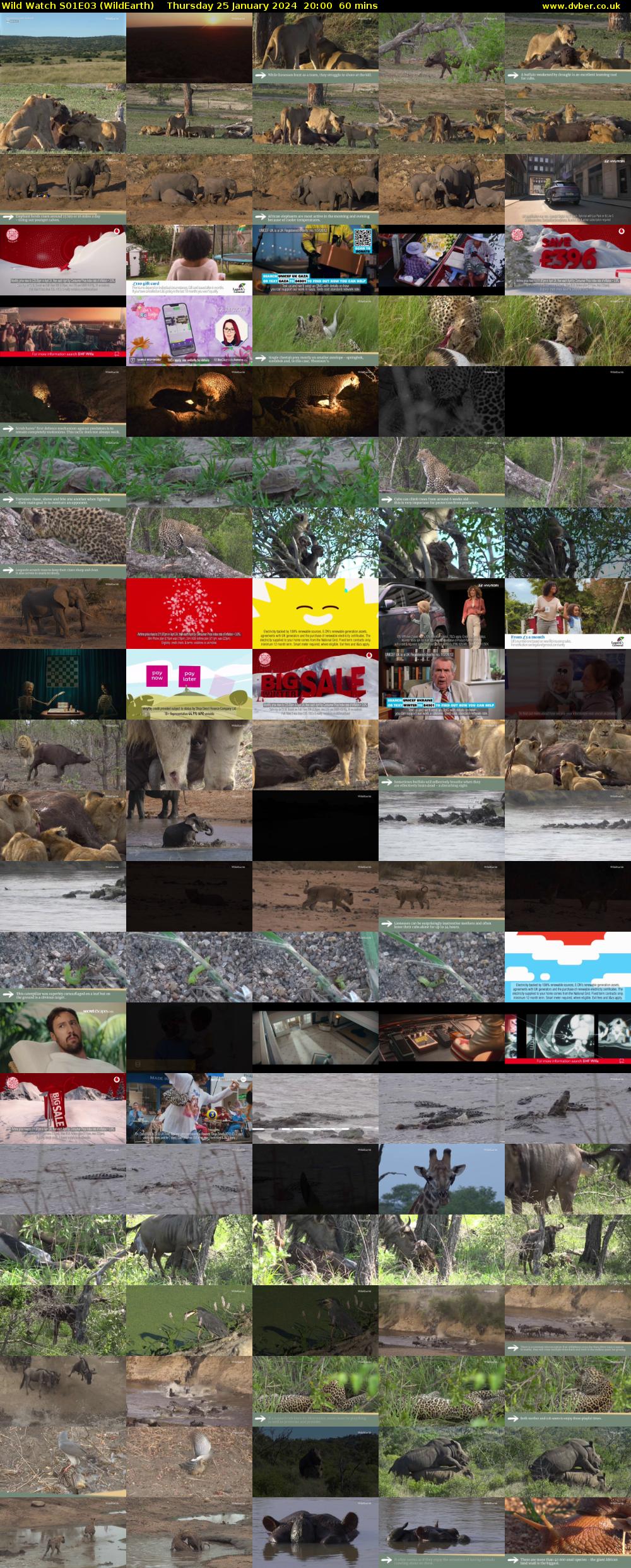 Wild Watch S01E03 (WildEarth) Thursday 25 January 2024 20:00 - 21:00