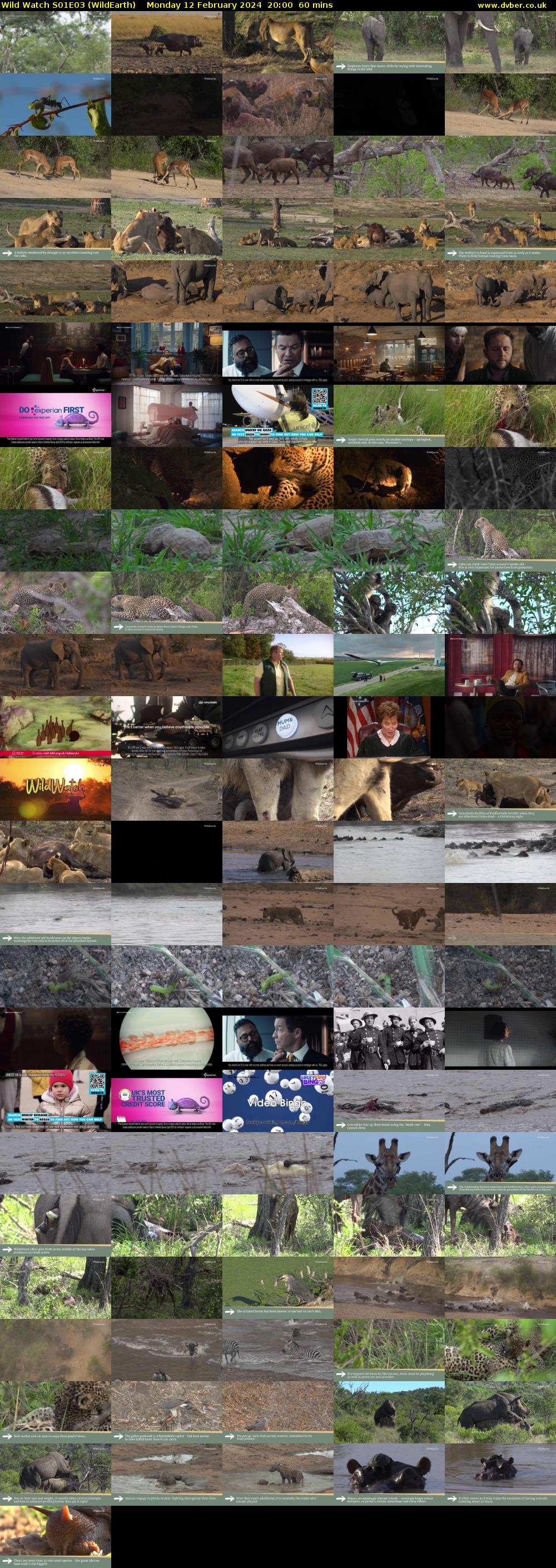 Wild Watch S01E03 (WildEarth) Monday 12 February 2024 20:00 - 21:00