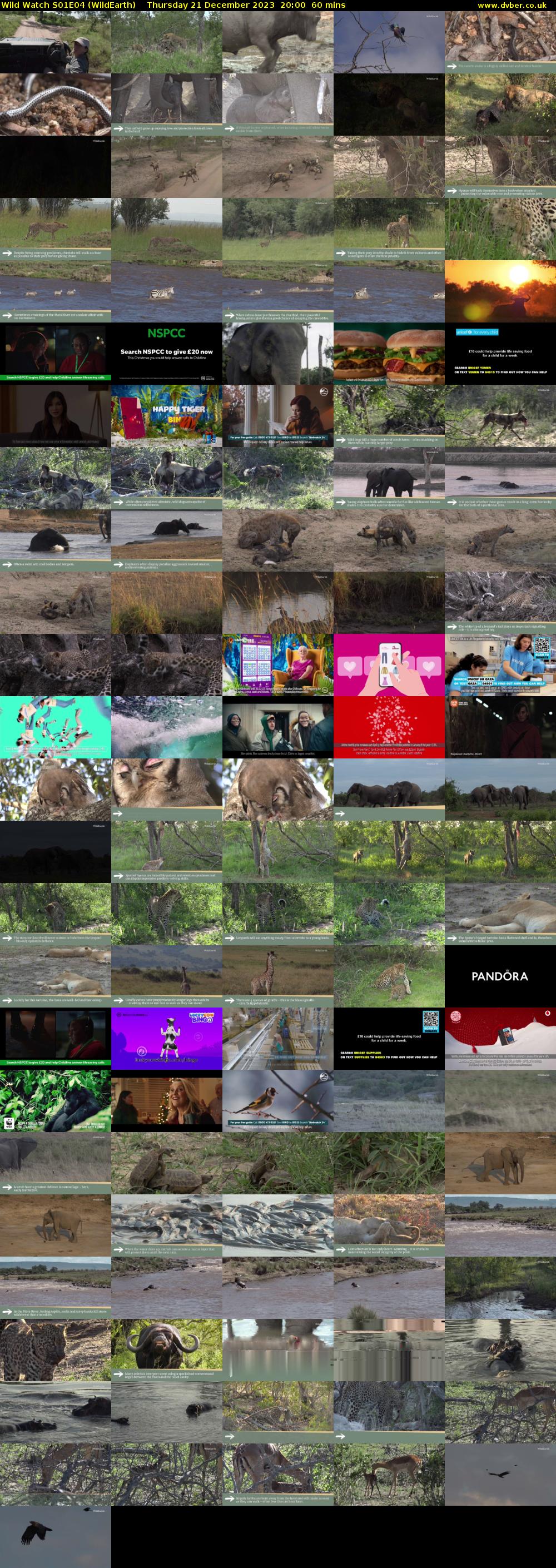 Wild Watch S01E04 (WildEarth) Thursday 21 December 2023 20:00 - 21:00