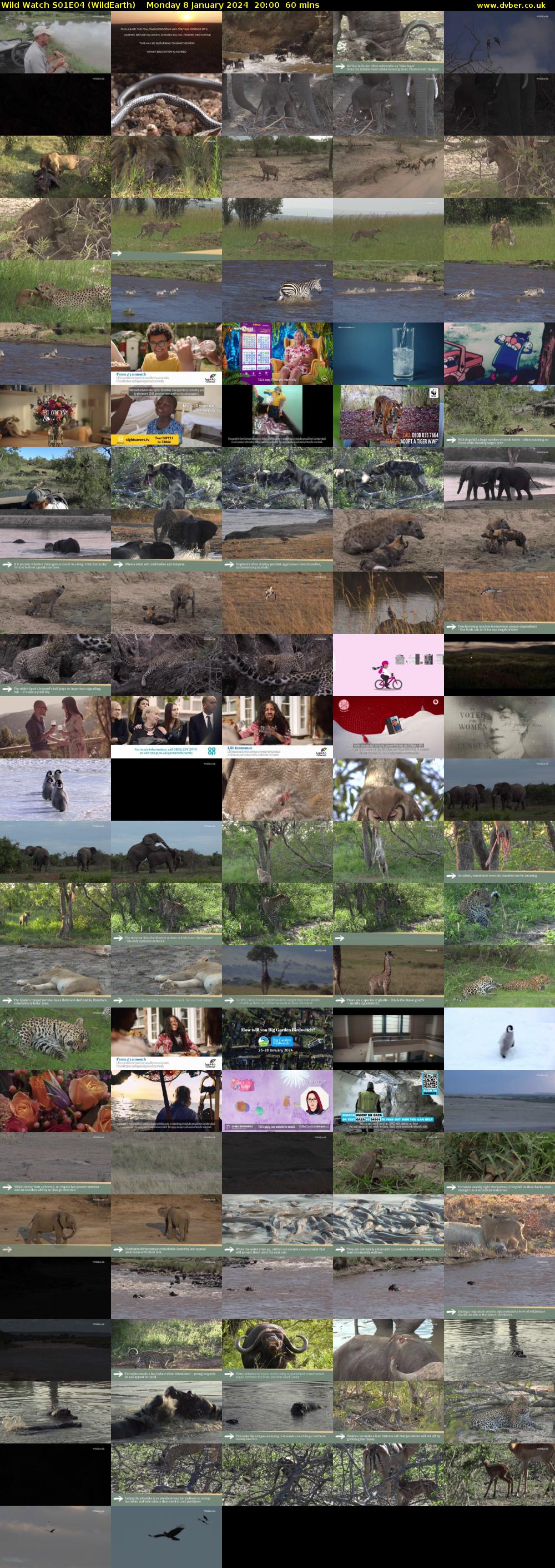 Wild Watch S01E04 (WildEarth) Monday 8 January 2024 20:00 - 21:00