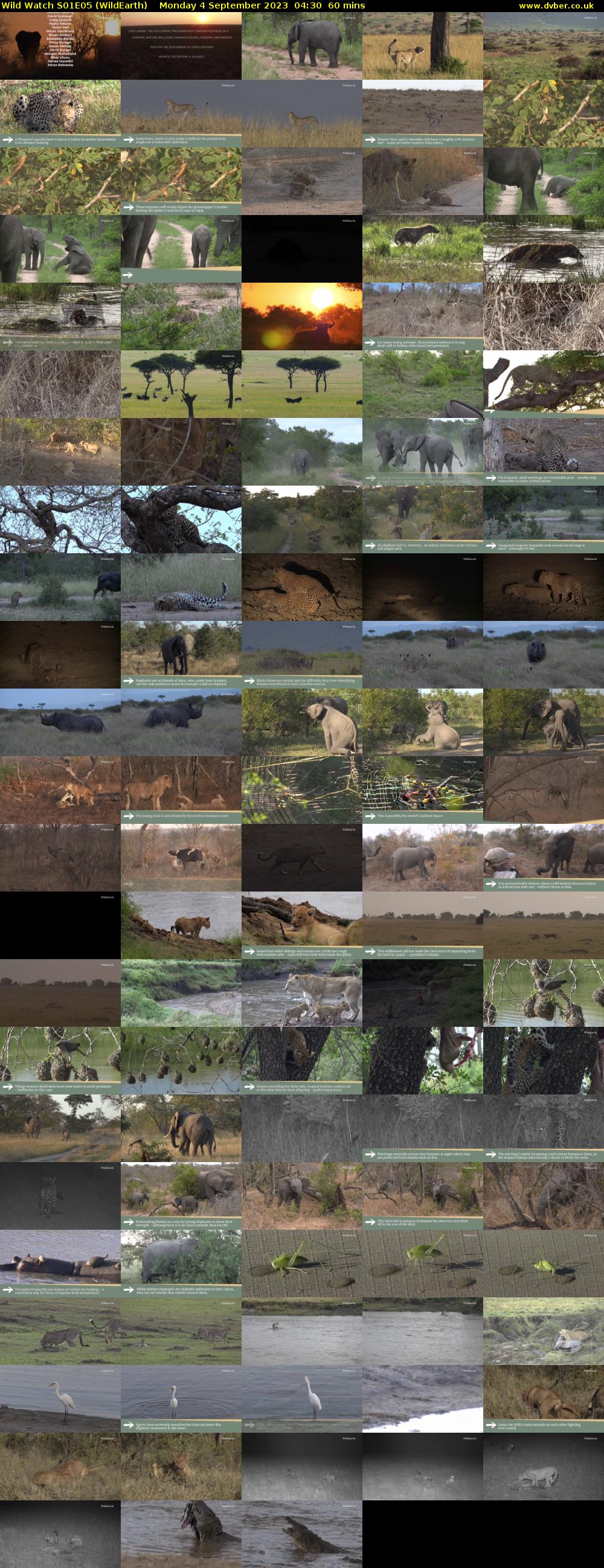 Wild Watch S01E05 (WildEarth) Monday 4 September 2023 04:30 - 05:30