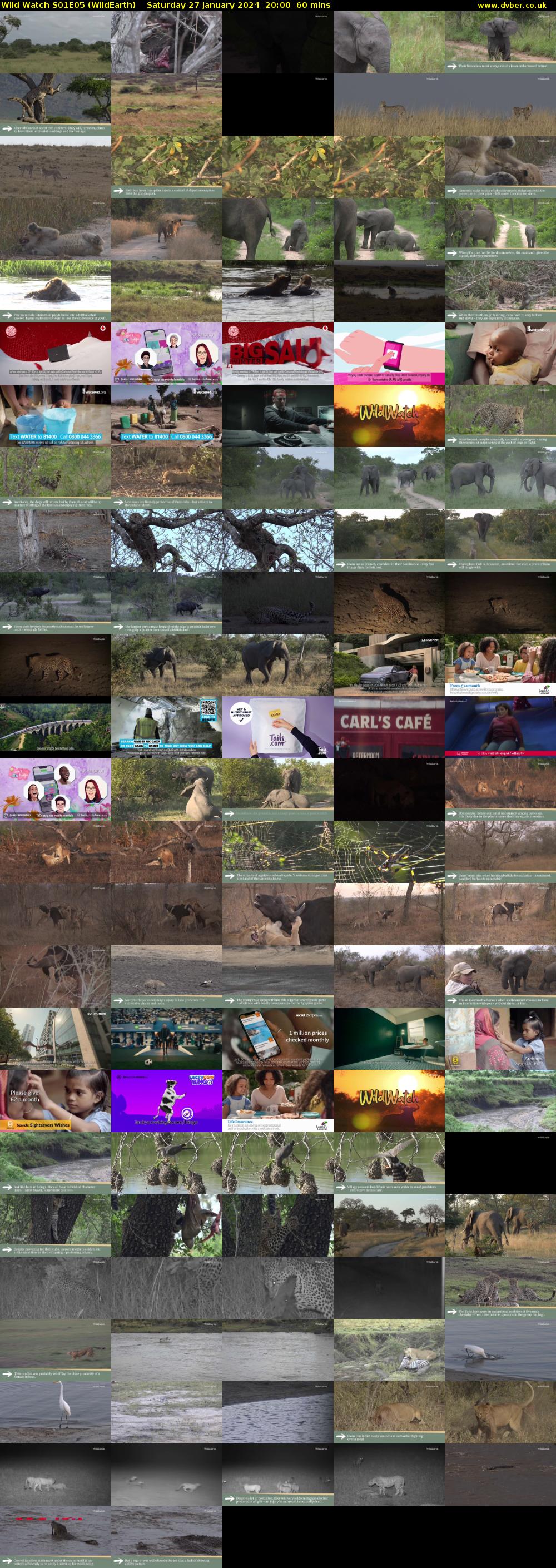 Wild Watch S01E05 (WildEarth) Saturday 27 January 2024 20:00 - 21:00