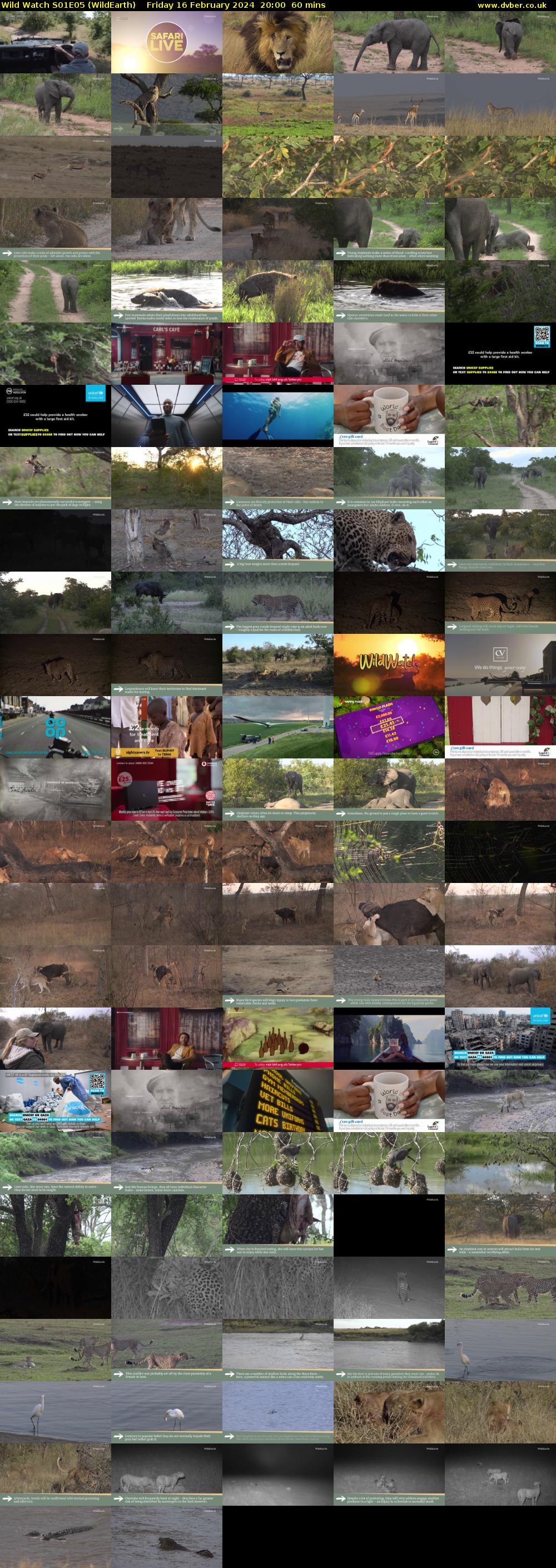 Wild Watch S01E05 (WildEarth) Friday 16 February 2024 20:00 - 21:00