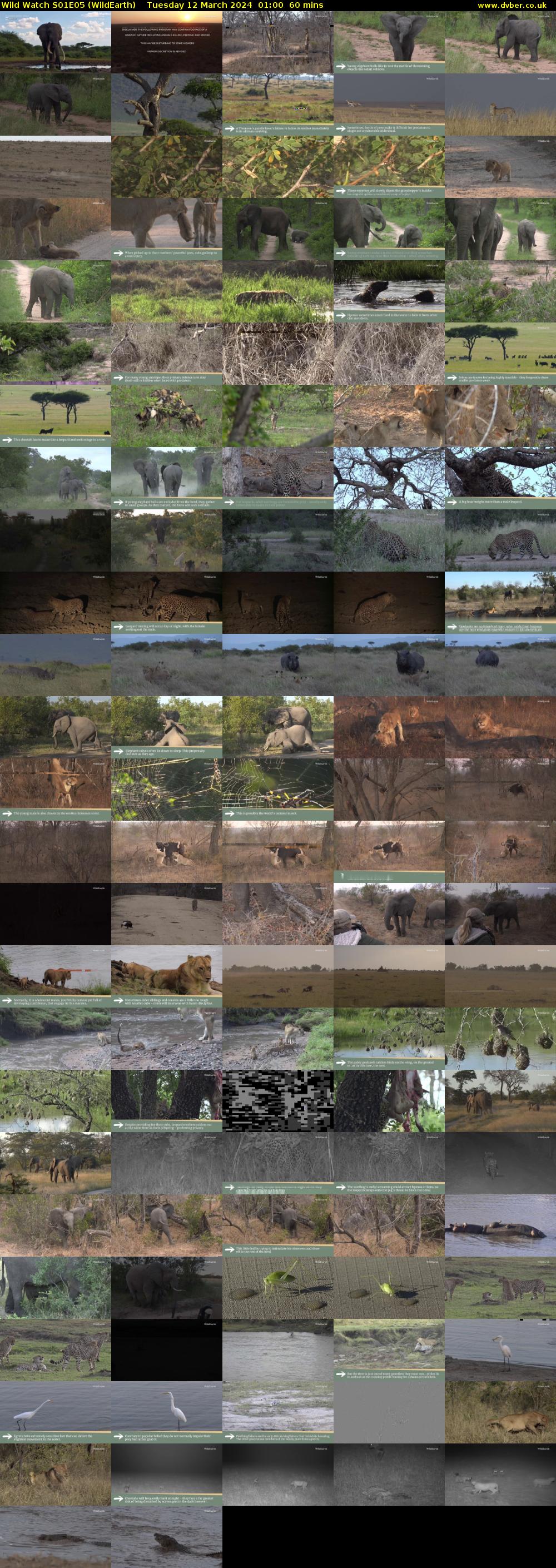 Wild Watch S01E05 (WildEarth) Tuesday 12 March 2024 01:00 - 02:00