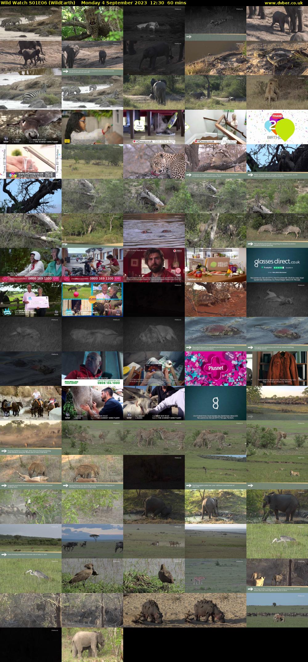 Wild Watch S01E06 (WildEarth) Monday 4 September 2023 12:30 - 13:30
