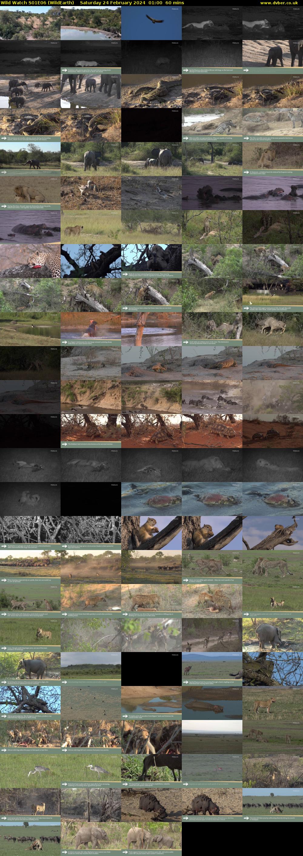 Wild Watch S01E06 (WildEarth) Saturday 24 February 2024 01:00 - 02:00