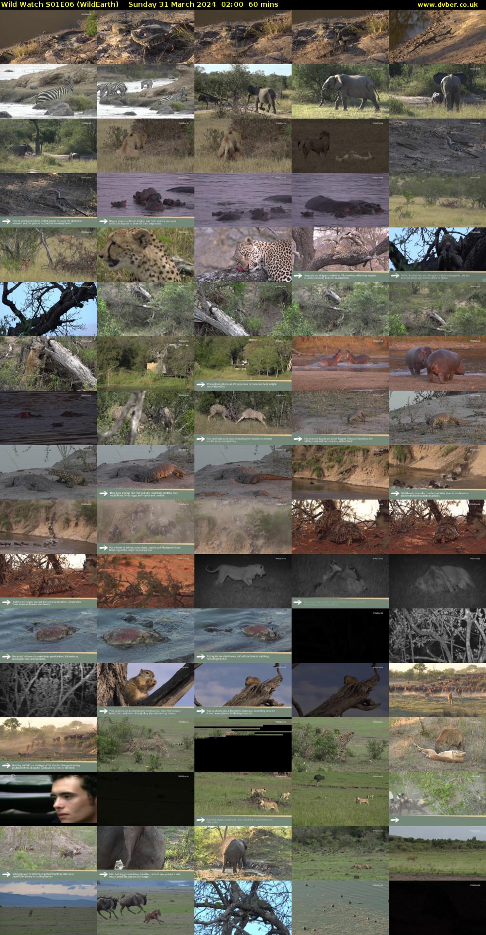 Wild Watch S01E06 (WildEarth) Sunday 31 March 2024 02:00 - 03:00