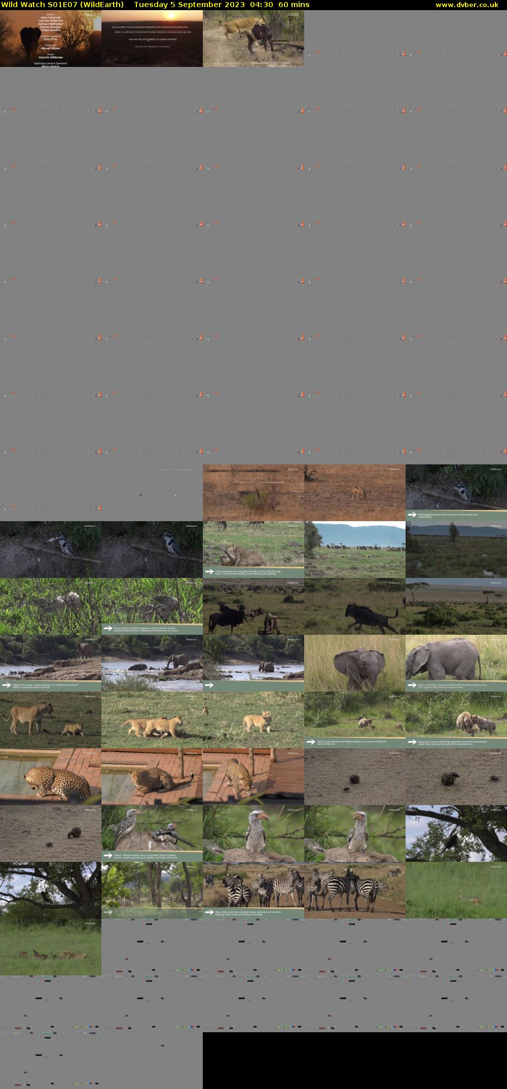 Wild Watch S01E07 (WildEarth) Tuesday 5 September 2023 04:30 - 05:30