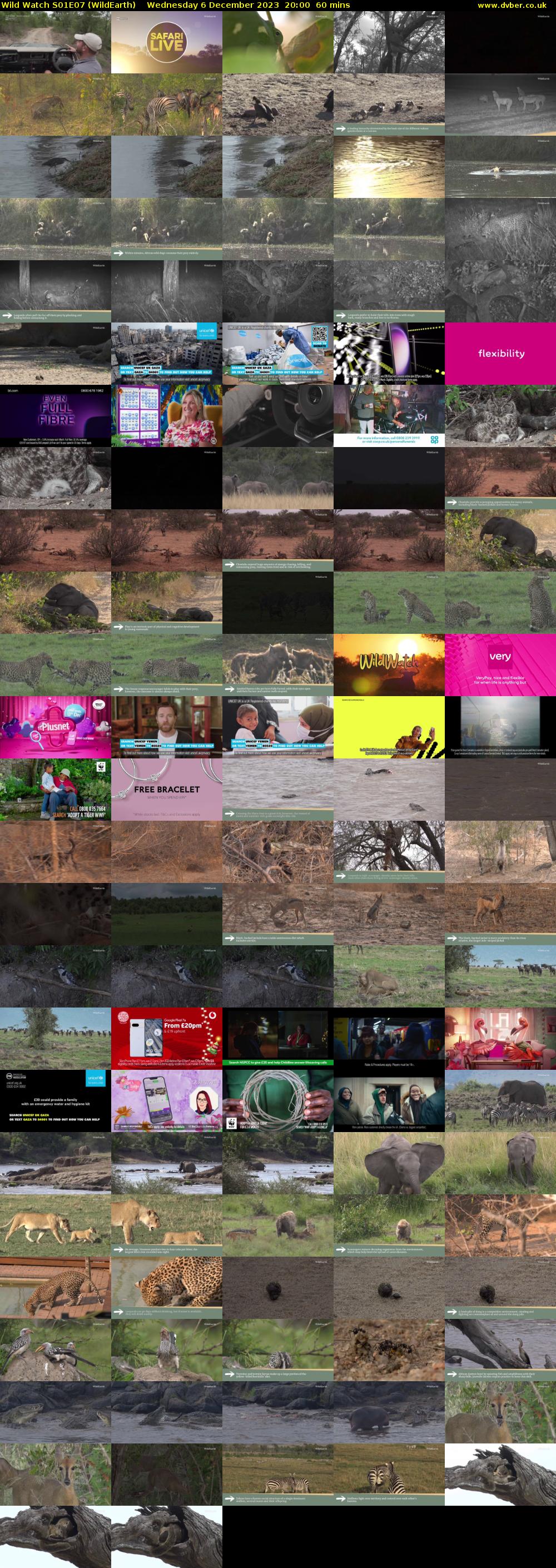 Wild Watch S01E07 (WildEarth) Wednesday 6 December 2023 20:00 - 21:00