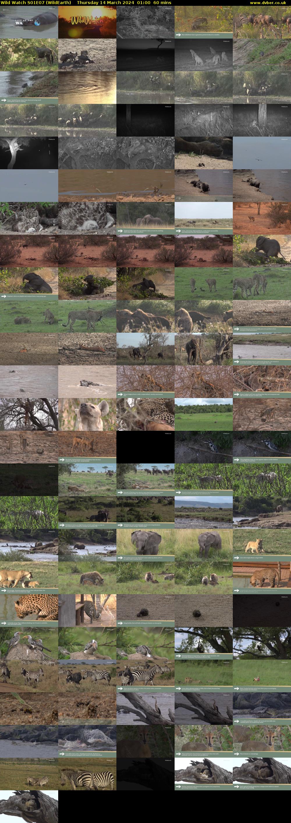 Wild Watch S01E07 (WildEarth) Thursday 14 March 2024 01:00 - 02:00