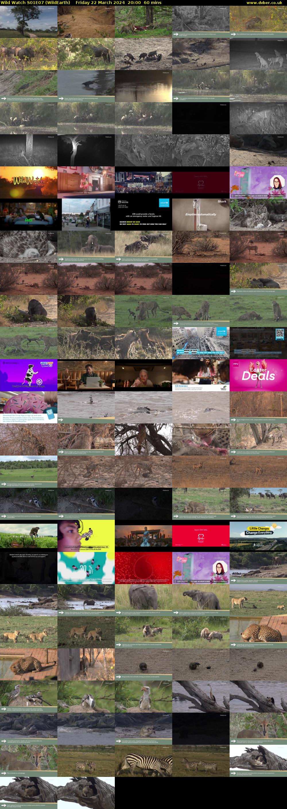 Wild Watch S01E07 (WildEarth) Friday 22 March 2024 20:00 - 21:00