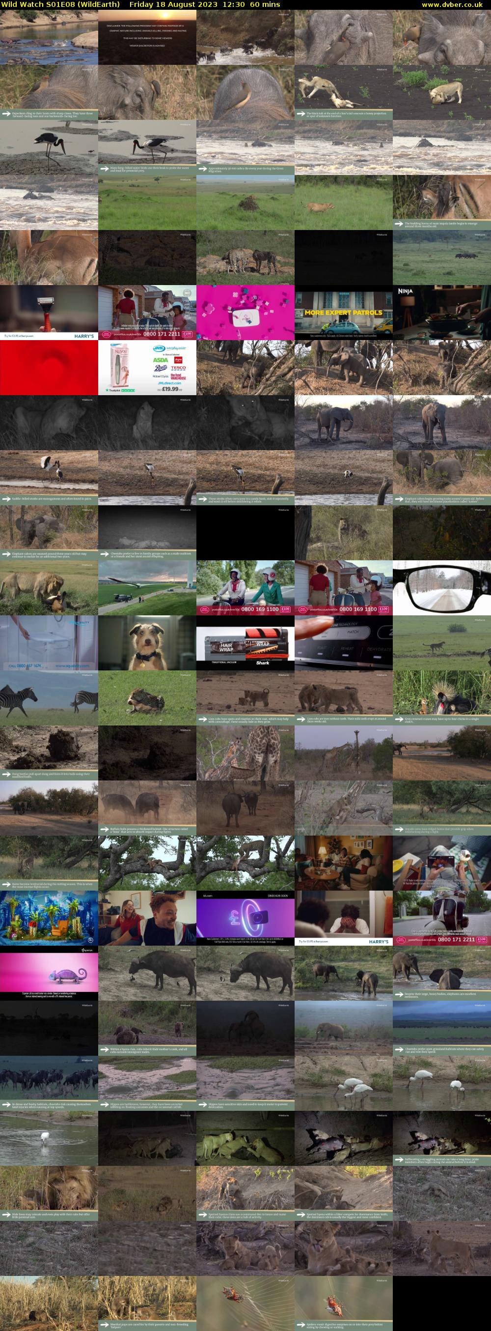 Wild Watch S01E08 (WildEarth) Friday 18 August 2023 12:30 - 13:30