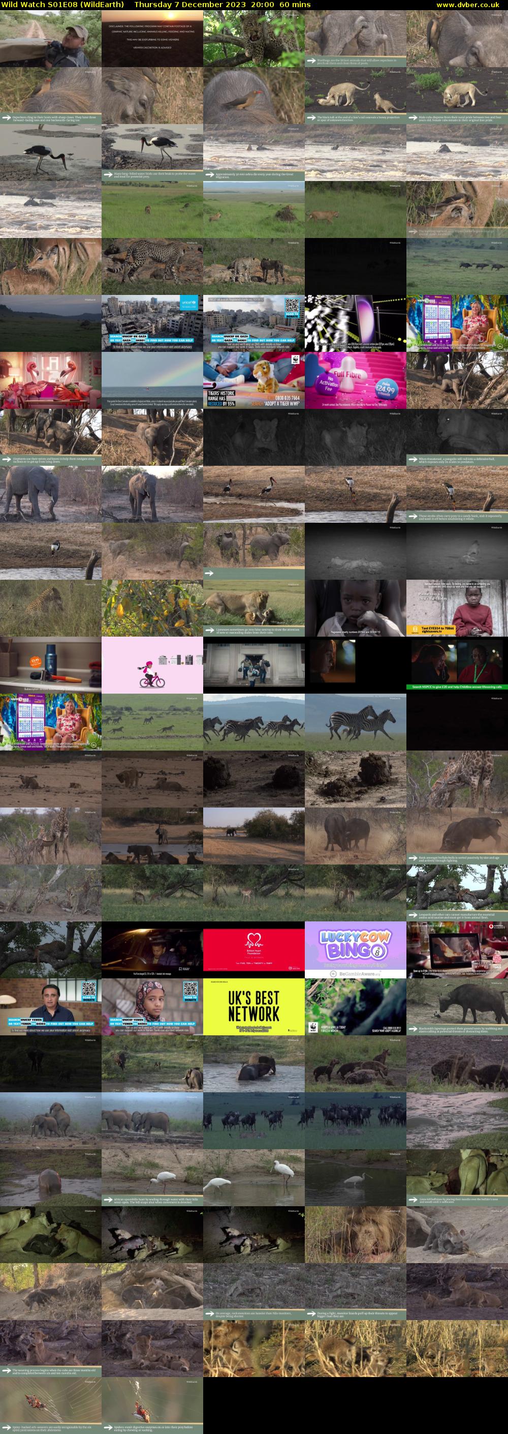 Wild Watch S01E08 (WildEarth) Thursday 7 December 2023 20:00 - 21:00