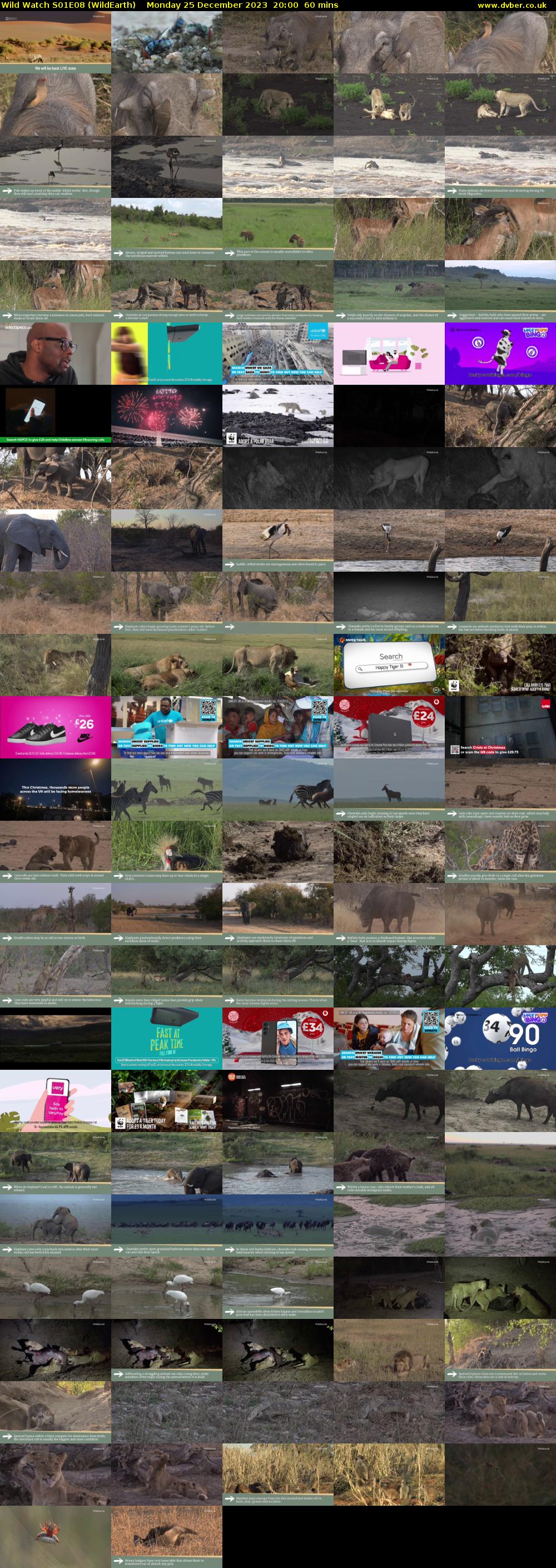 Wild Watch S01E08 (WildEarth) Monday 25 December 2023 20:00 - 21:00