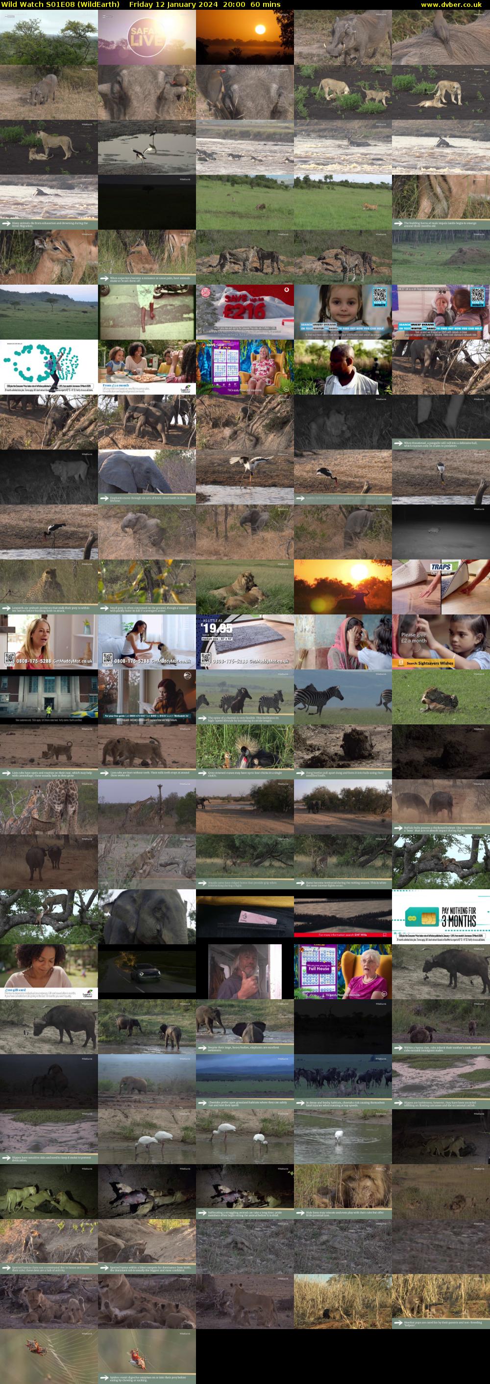 Wild Watch S01E08 (WildEarth) Friday 12 January 2024 20:00 - 21:00