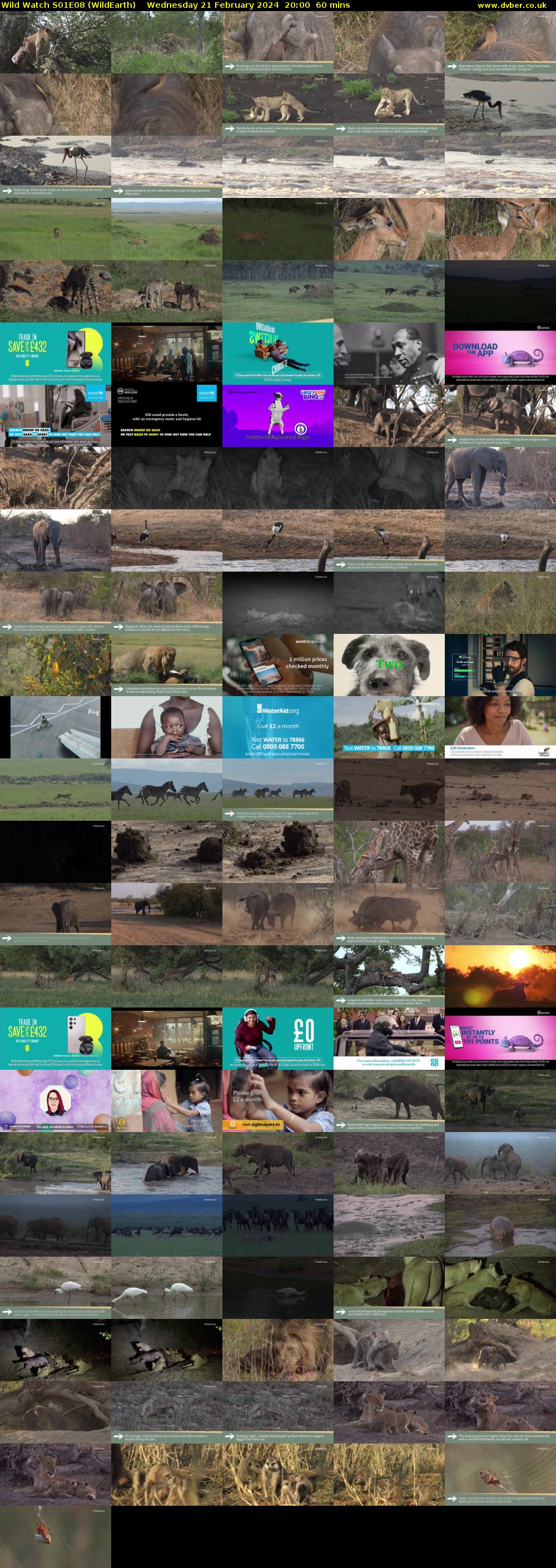 Wild Watch S01E08 (WildEarth) Wednesday 21 February 2024 20:00 - 21:00