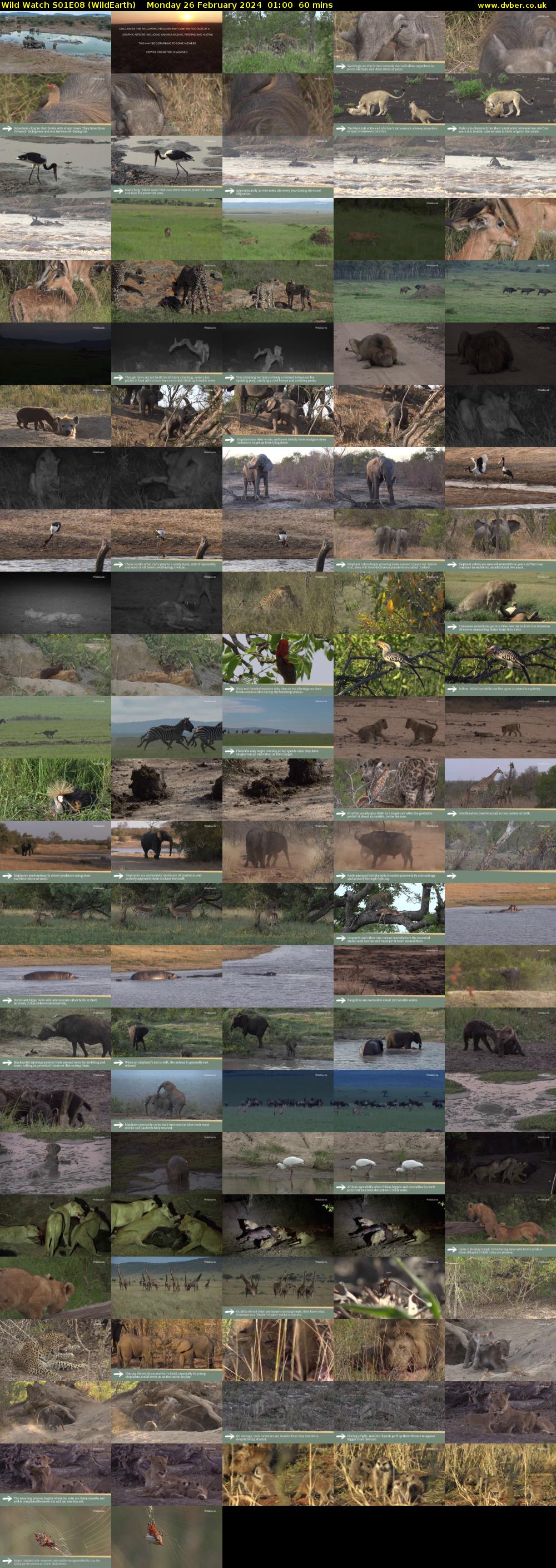 Wild Watch S01E08 (WildEarth) Monday 26 February 2024 01:00 - 02:00