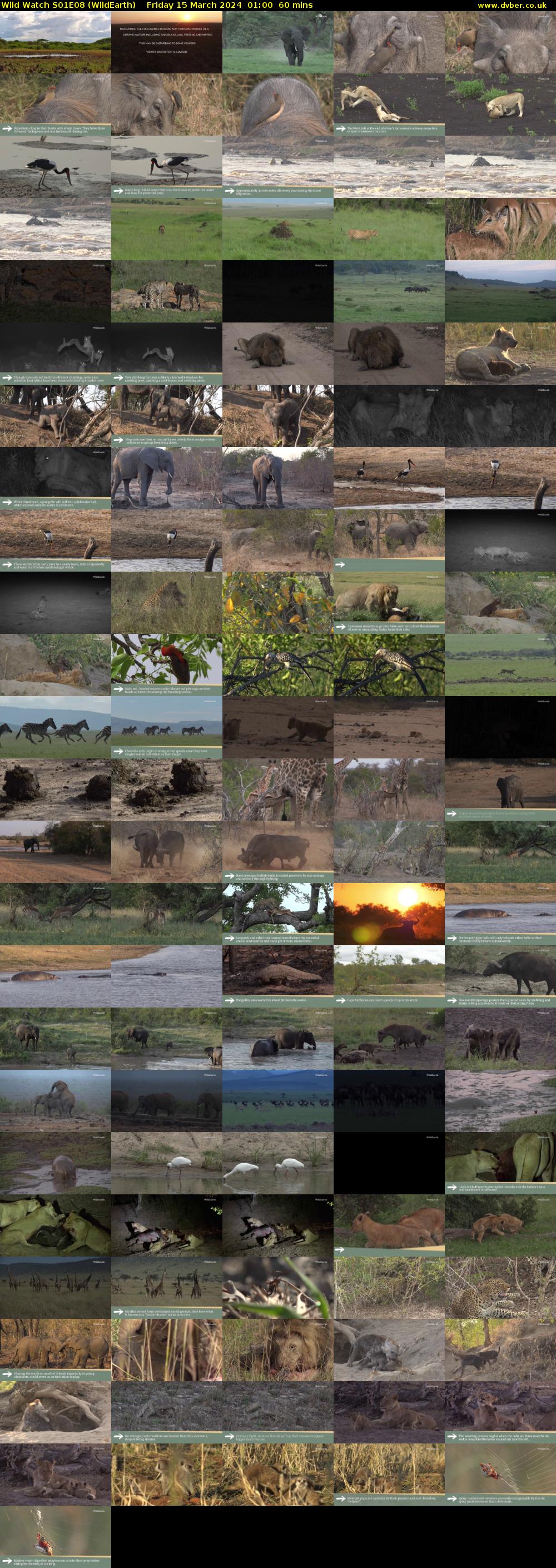 Wild Watch S01E08 (WildEarth) Friday 15 March 2024 01:00 - 02:00