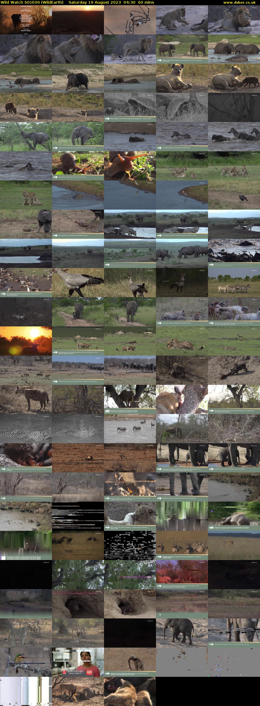 Wild Watch S01E09 (WildEarth) Saturday 19 August 2023 04:30 - 05:30