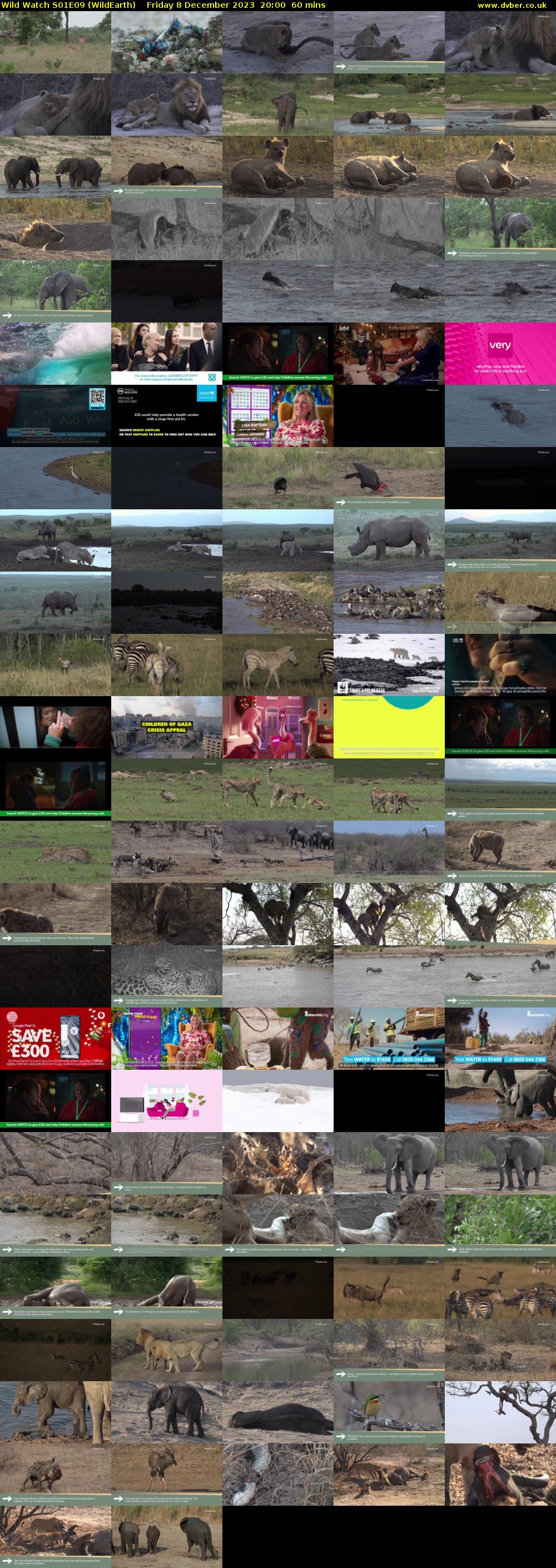 Wild Watch S01E09 (WildEarth) Friday 8 December 2023 20:00 - 21:00
