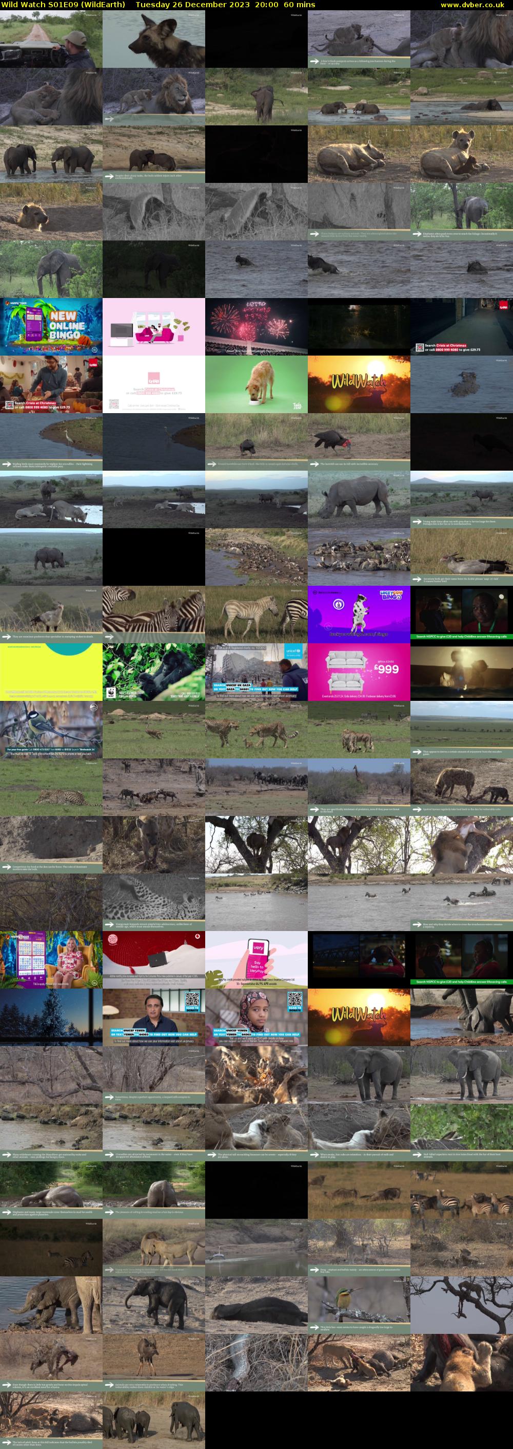 Wild Watch S01E09 (WildEarth) Tuesday 26 December 2023 20:00 - 21:00