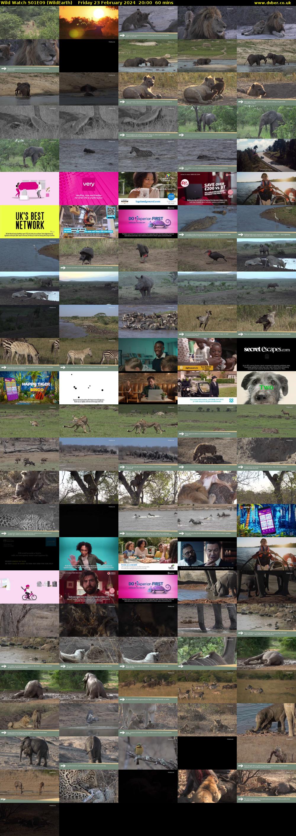 Wild Watch S01E09 (WildEarth) Friday 23 February 2024 20:00 - 21:00