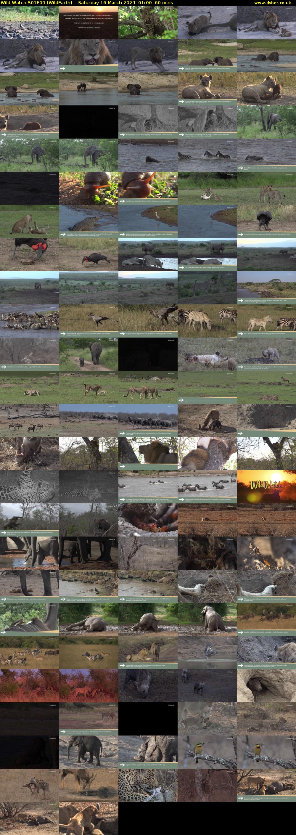 Wild Watch S01E09 (WildEarth) Saturday 16 March 2024 01:00 - 02:00