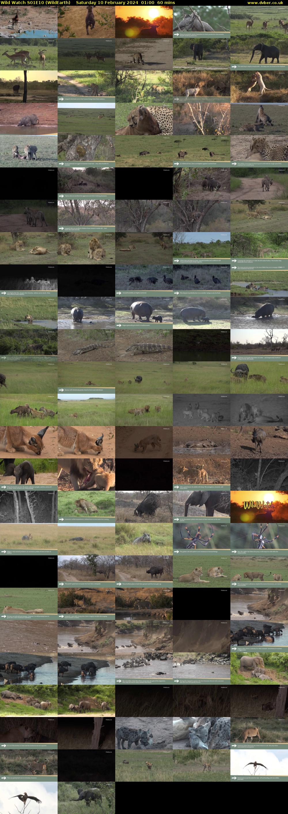 Wild Watch S01E10 (WildEarth) Saturday 10 February 2024 01:00 - 02:00