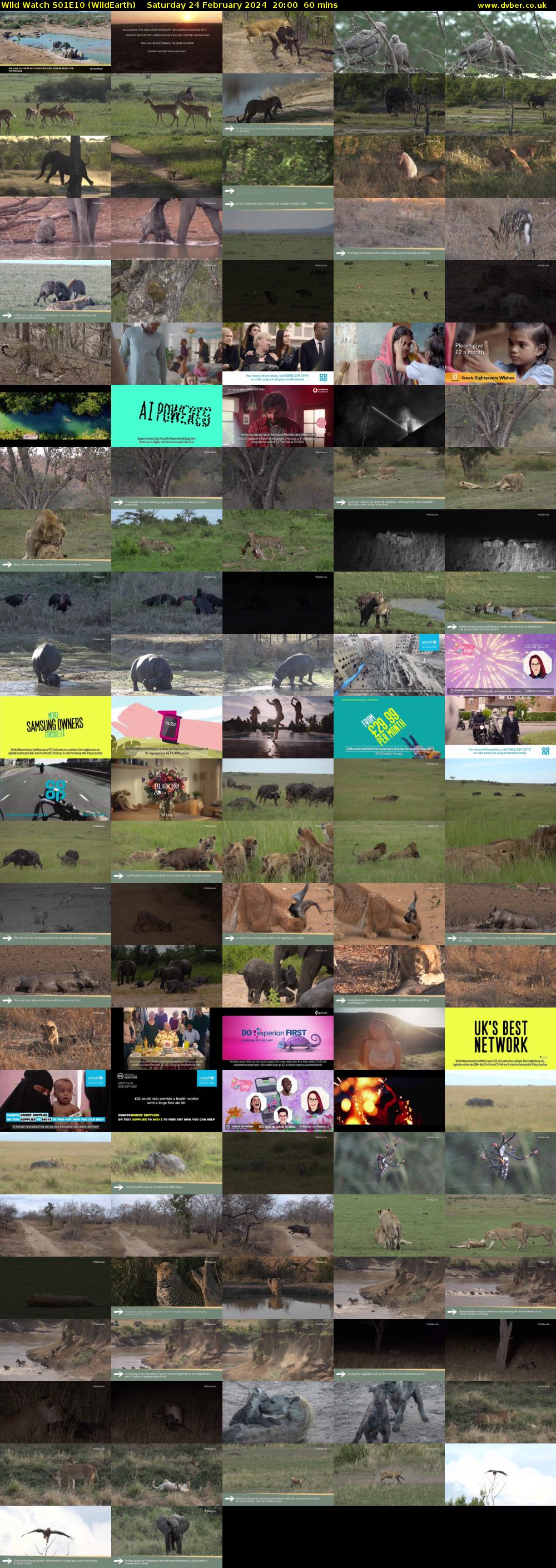 Wild Watch S01E10 (WildEarth) Saturday 24 February 2024 20:00 - 21:00