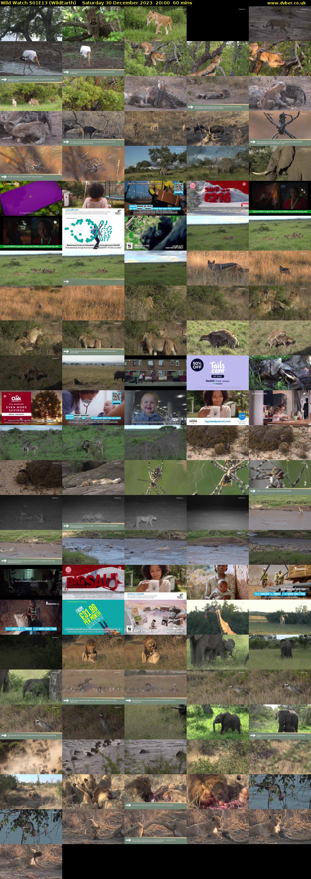 Wild Watch S01E13 (WildEarth) Saturday 30 December 2023 20:00 - 21:00