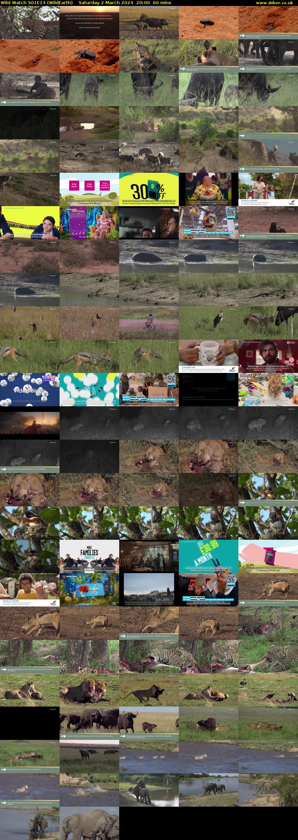 Wild Watch S01E14 (WildEarth) Saturday 2 March 2024 20:00 - 21:00