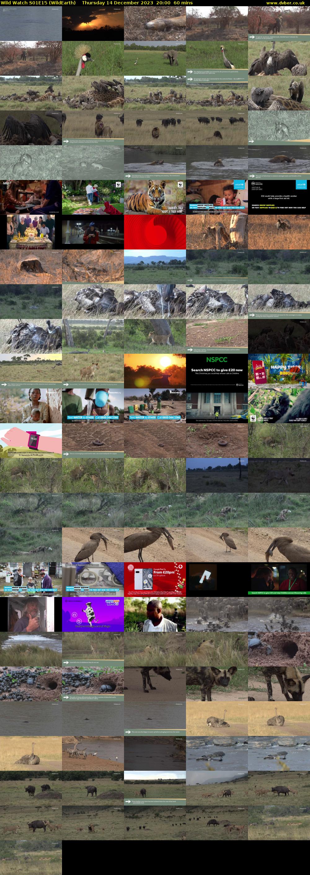 Wild Watch S01E15 (WildEarth) Thursday 14 December 2023 20:00 - 21:00
