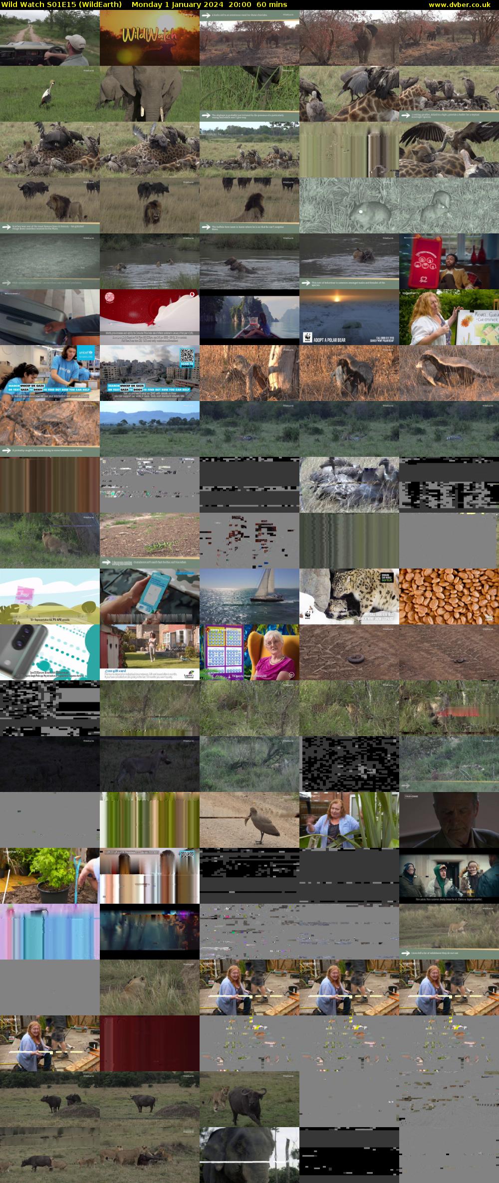 Wild Watch S01E15 (WildEarth) Monday 1 January 2024 20:00 - 21:00