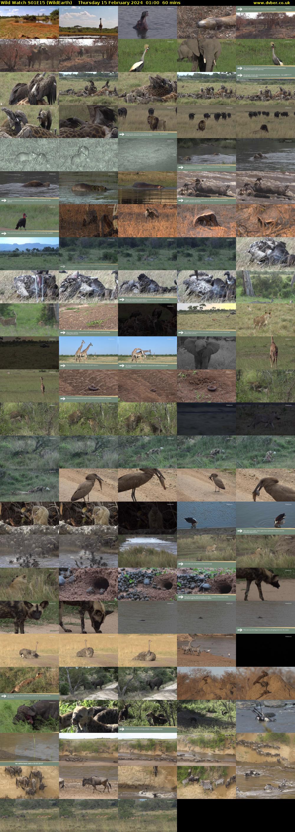 Wild Watch S01E15 (WildEarth) Thursday 15 February 2024 01:00 - 02:00