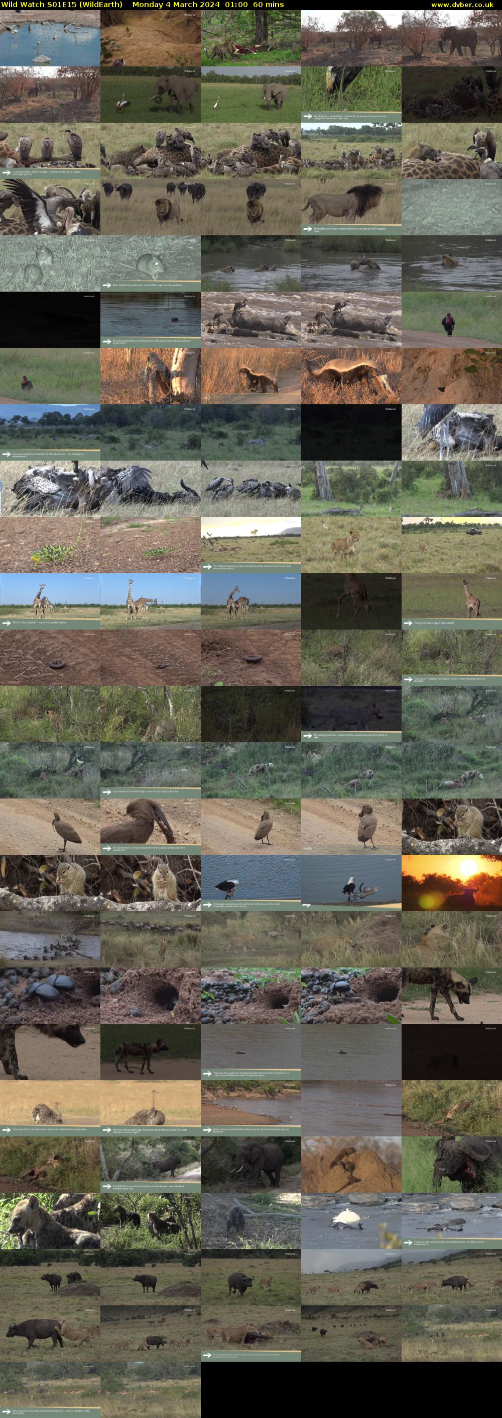 Wild Watch S01E15 (WildEarth) Monday 4 March 2024 01:00 - 02:00