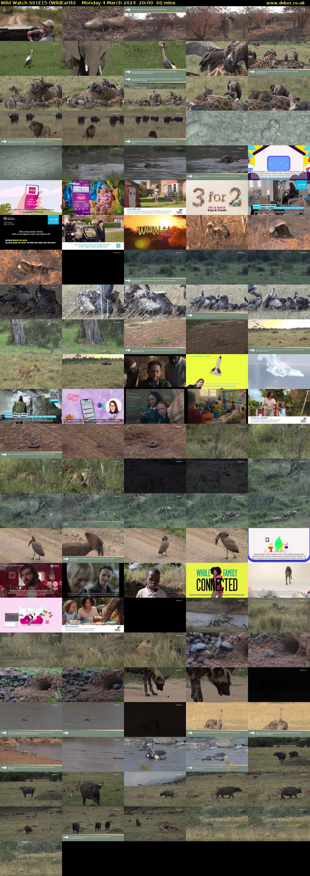 Wild Watch S01E15 (WildEarth) Monday 4 March 2024 20:00 - 21:00
