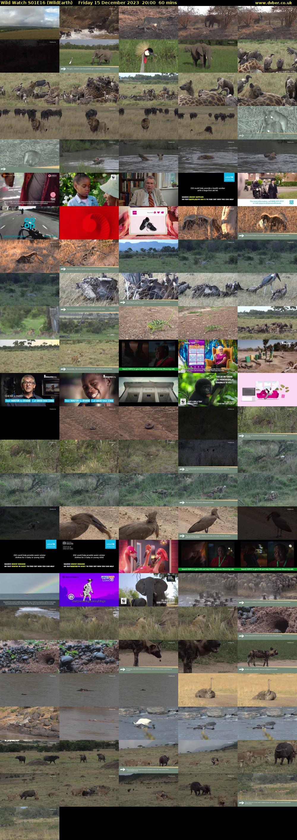 Wild Watch S01E16 (WildEarth) Friday 15 December 2023 20:00 - 21:00