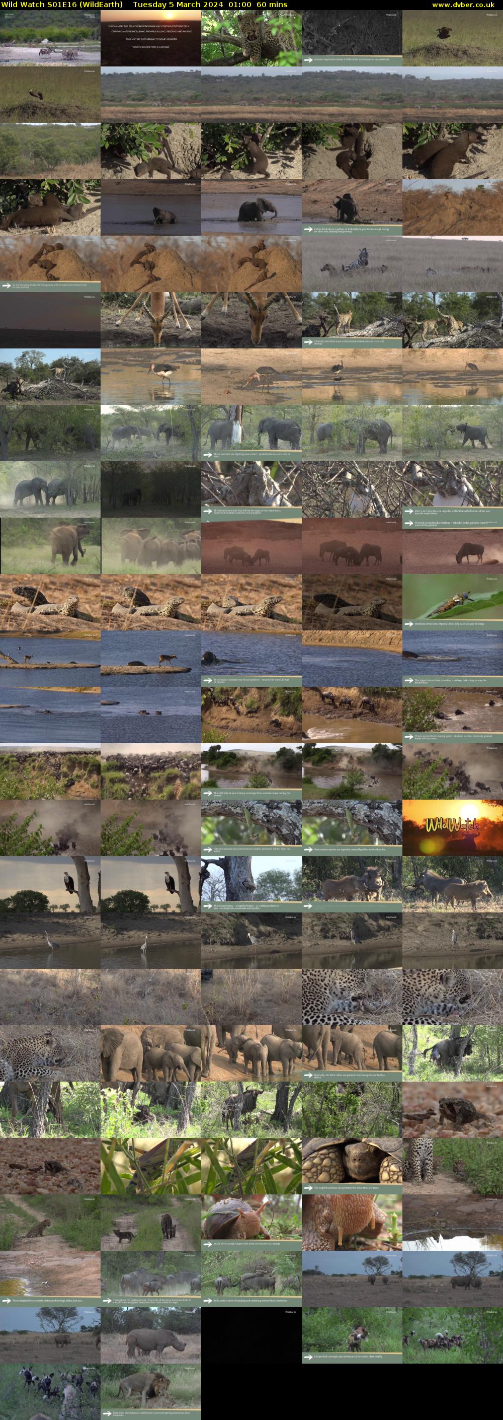 Wild Watch S01E16 (WildEarth) Tuesday 5 March 2024 01:00 - 02:00