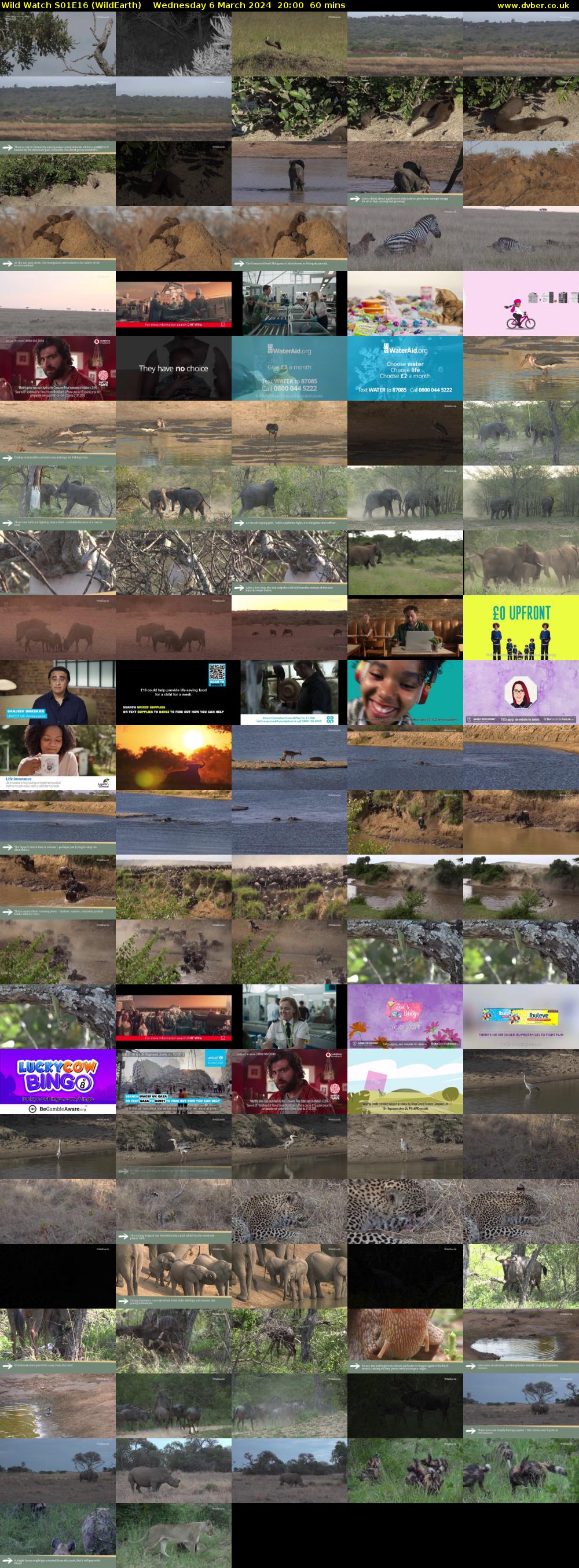 Wild Watch S01E16 (WildEarth) Wednesday 6 March 2024 20:00 - 21:00
