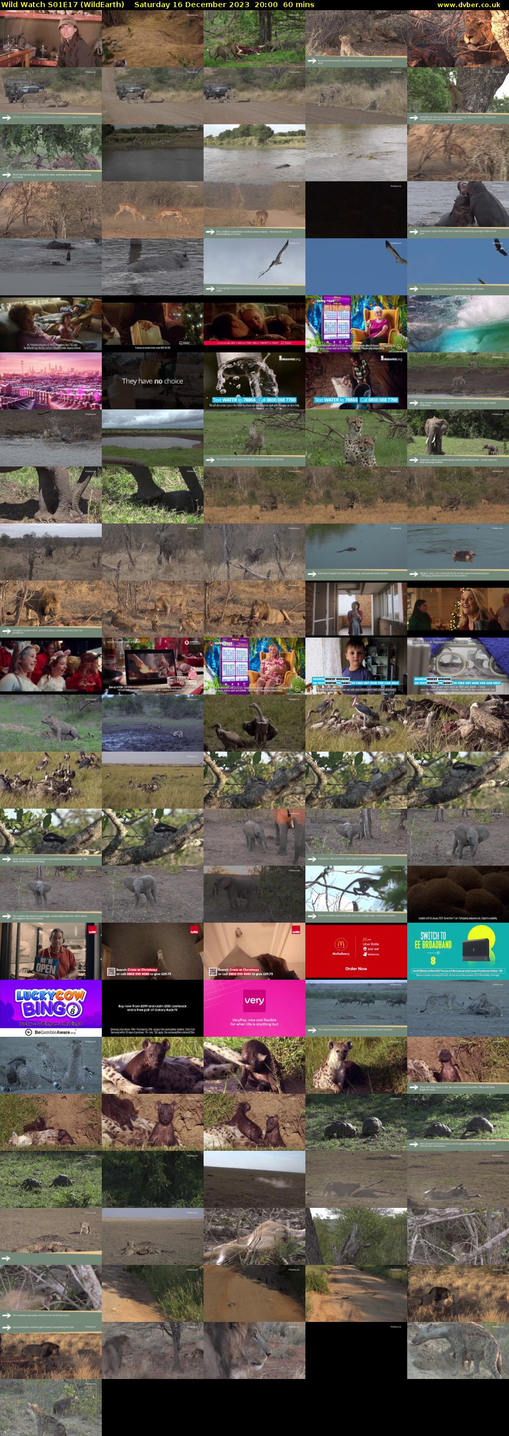 Wild Watch S01E17 (WildEarth) Saturday 16 December 2023 20:00 - 21:00