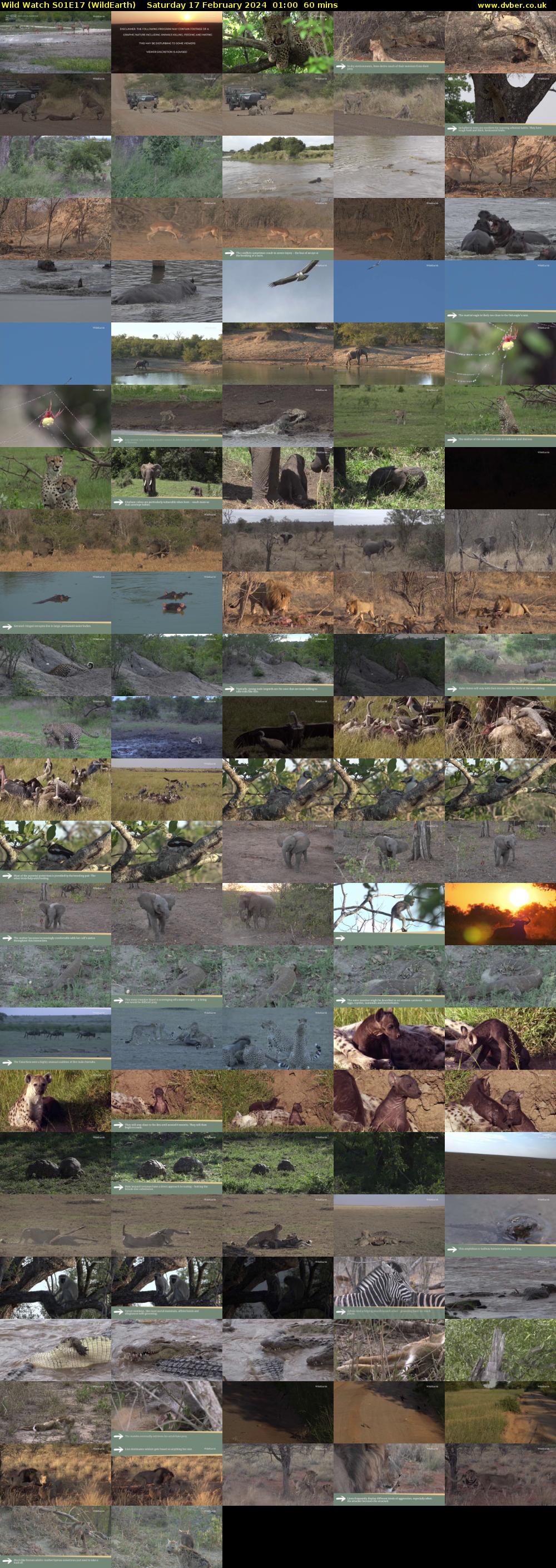 Wild Watch S01E17 (WildEarth) Saturday 17 February 2024 01:00 - 02:00