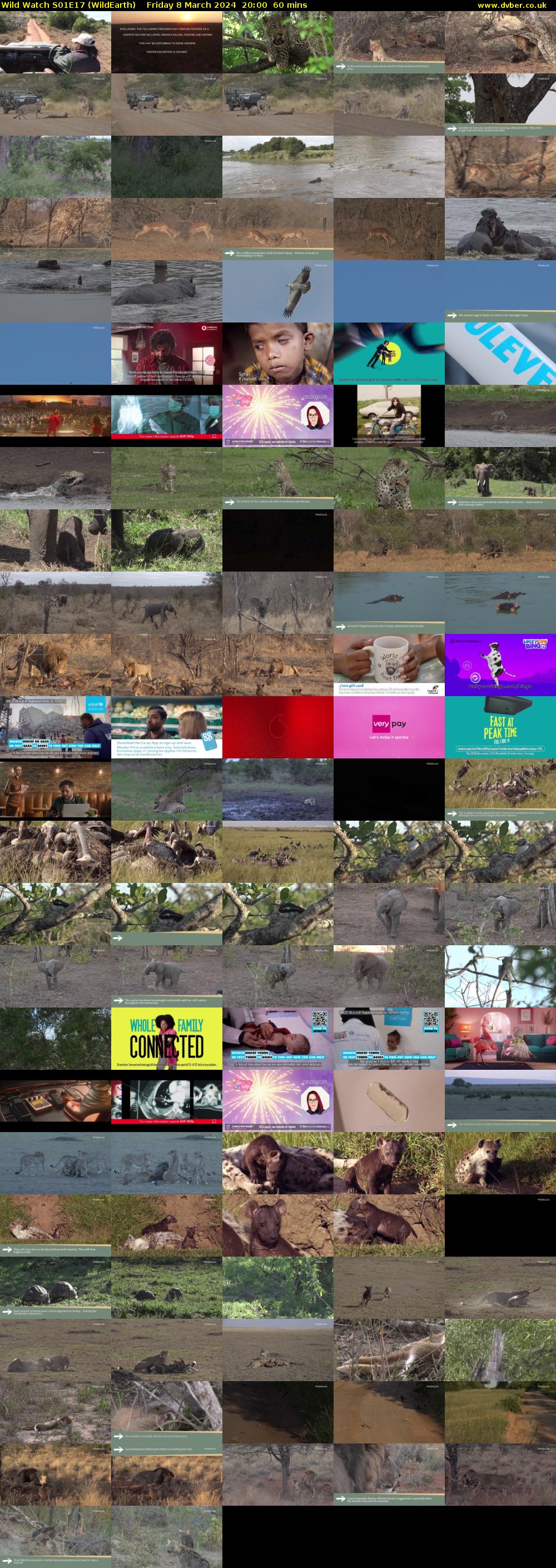 Wild Watch S01E17 (WildEarth) Friday 8 March 2024 20:00 - 21:00