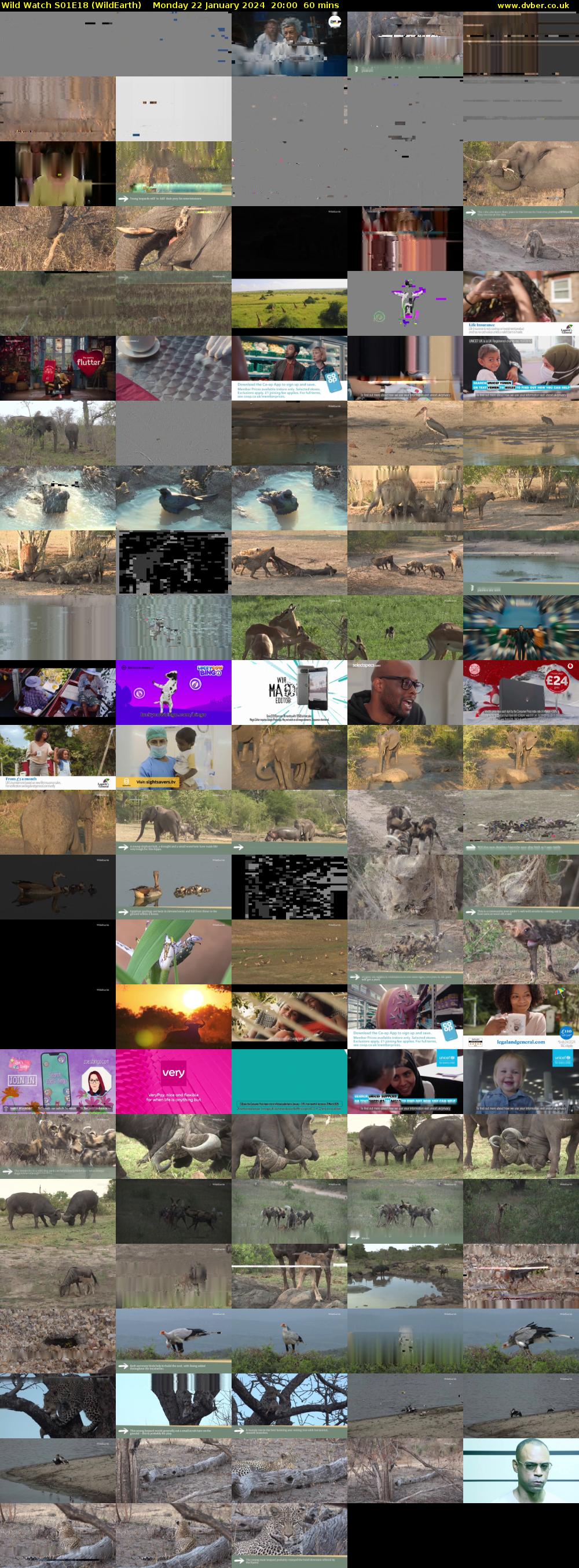 Wild Watch S01E18 (WildEarth) Monday 22 January 2024 20:00 - 21:00