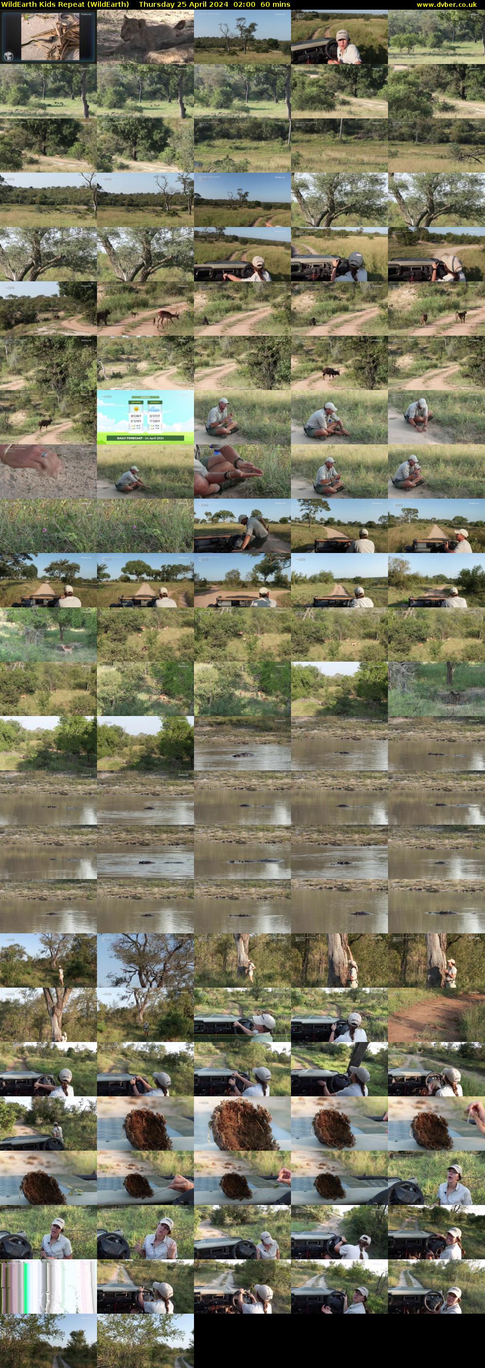 WildEarth Kids Repeat (WildEarth) Thursday 25 April 2024 02:00 - 03:00